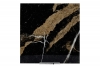 Black glossy marble with beige veins