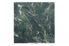 Green semi polished marble