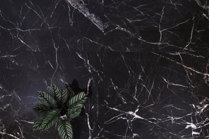 Glossy black marble with golden and white veins