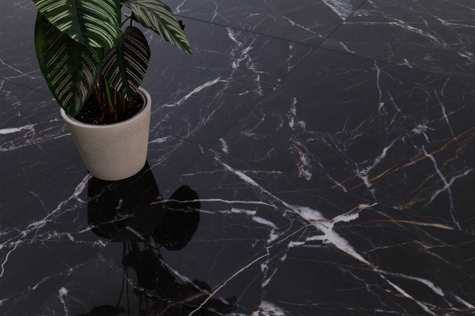 Glossy black marble with golden and white veins