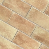 Terracotta effect floor tiles beige