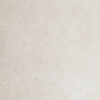 Beige Uniform Dotted Stone