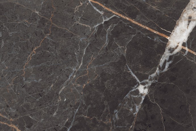 Matt black marble with golden and white veins