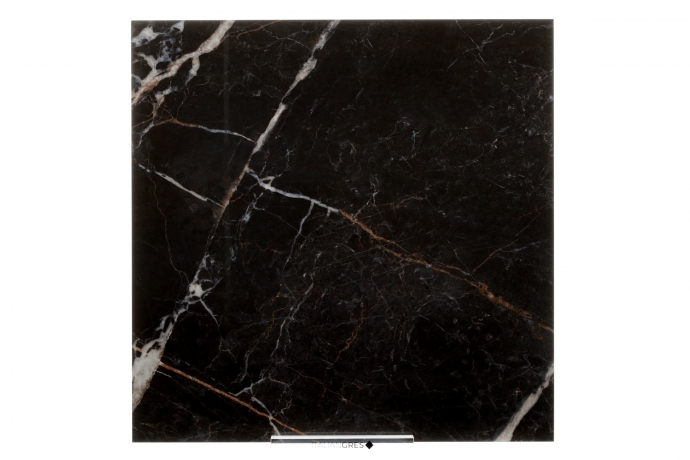 Glossy black marble with golden and white veins