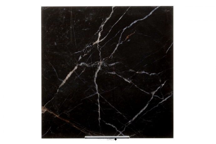 Glossy black marble with golden and white veins