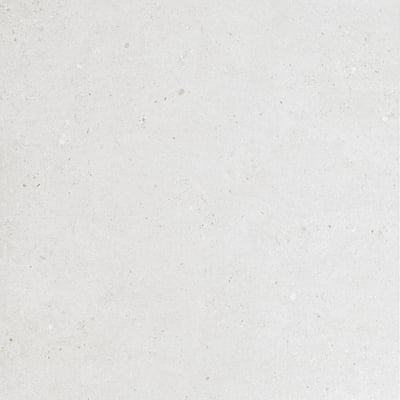 Sedimentary Stone White