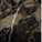 Exotique Black - Glossy Marble