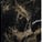 Exotique Black - Glossy Marble