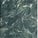 Exotique Alpine Green - Glossy Marble