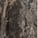 Manhattan Frappuccino - Glossy Marble 6 mm
